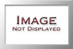 SYN1880COAFRBKSV1P